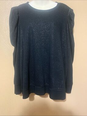 20. Jane & Delancey 2X Black Sparkle Puff-Sleeve Sweatshirt NWT